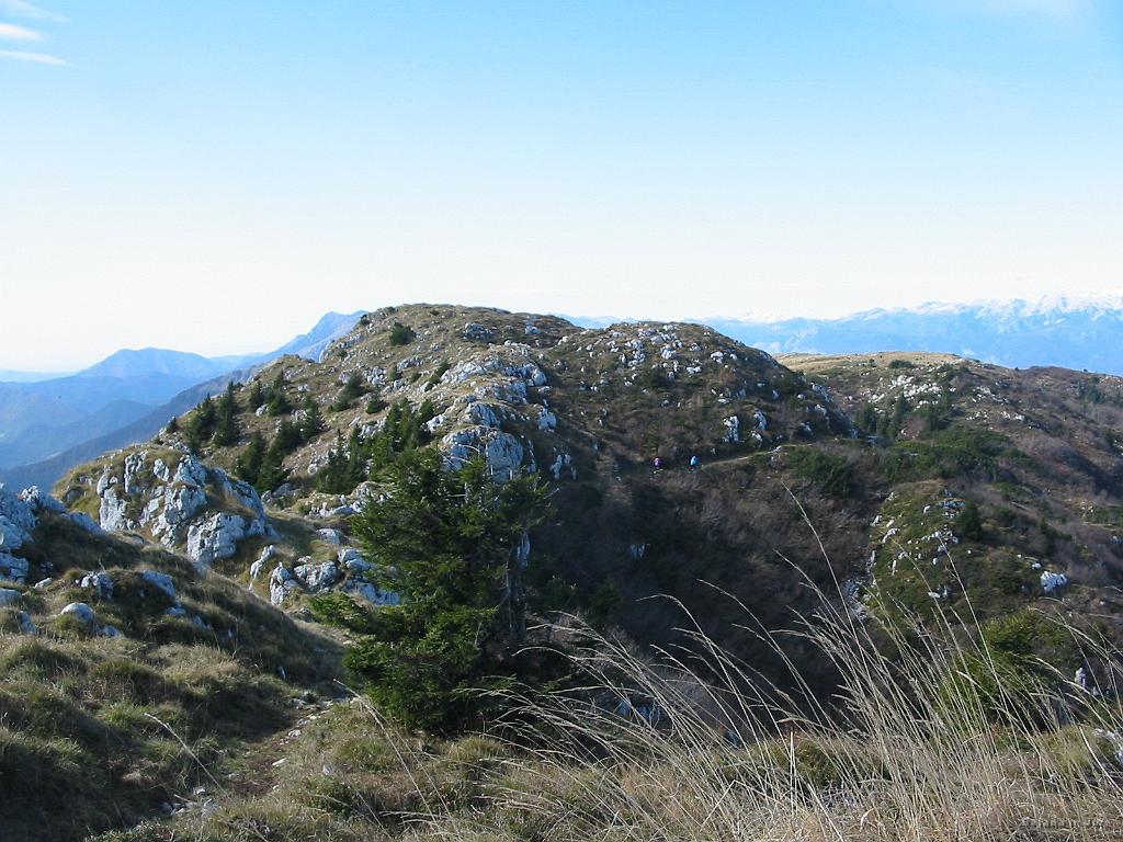 Slika_24.jpg - Pogled od koče na Ratitovcu proti najvišjemu vrhu Ratitovca imenovanem Altemaver (1678 m).