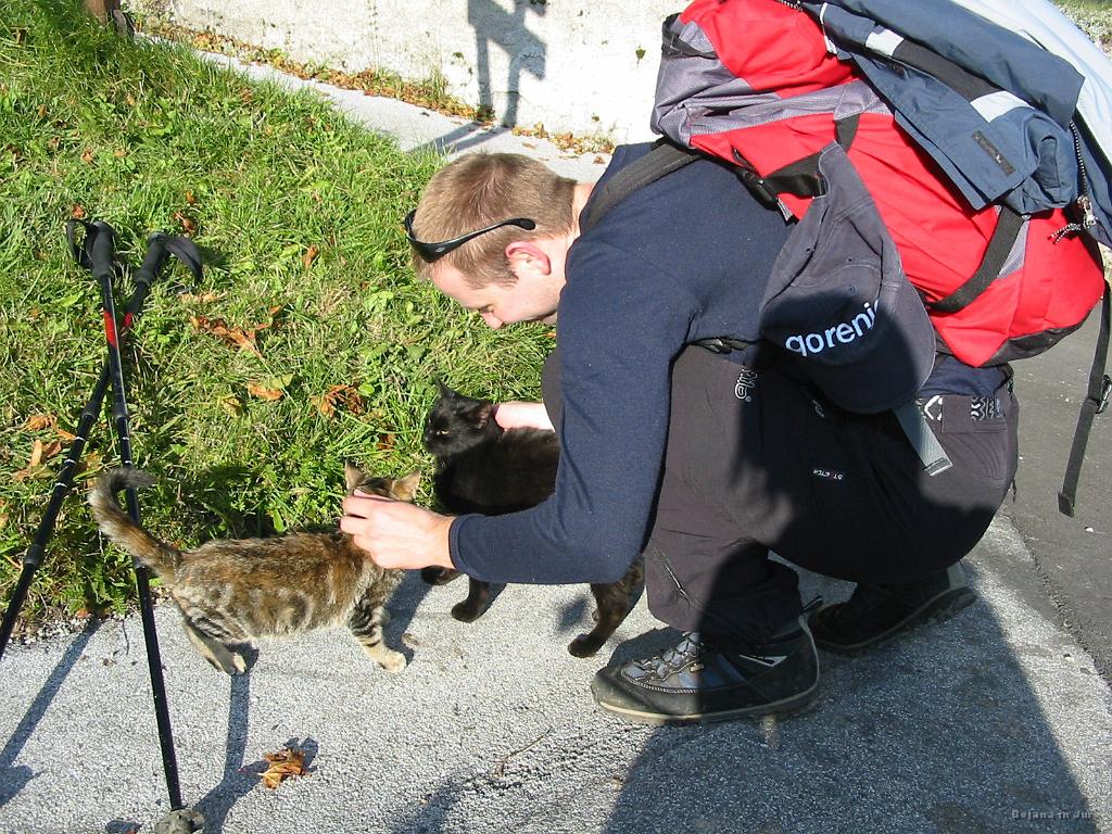 Slika_44.jpg - Ob prihodu nazaj v Prtovč sta do naju uletela dva mucka oziroma mucki (B je itak specialist za mačke). Božanja ni nikdar preveč.