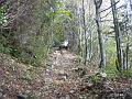 Slika_07