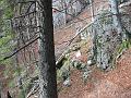 Slika_08