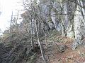 Slika_09