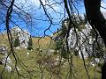 Slika_11