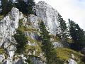 Slika_12