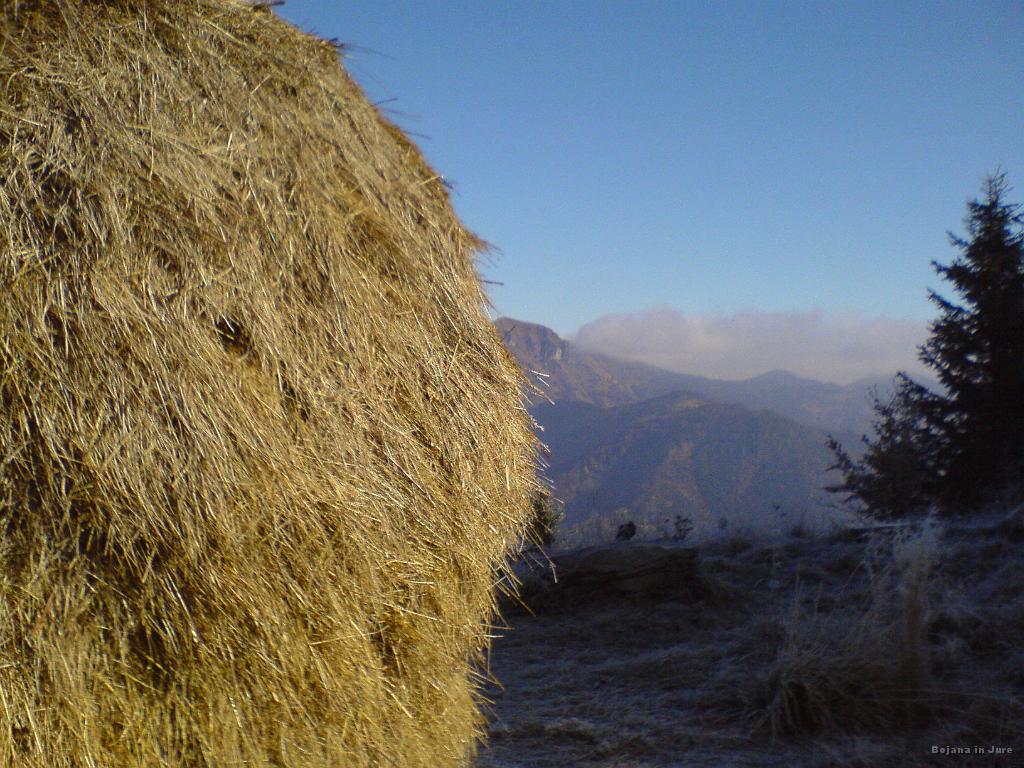 Slika_08.JPG - Zaščitni znak vrha Kojce je kopa sena. V ozadju Porezen.