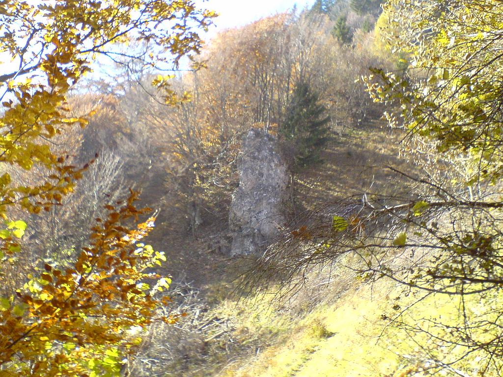 Slika_13.JPG - Na tej poti, ki ni prav nič zahtevna, sem se spraševal, kje sem hodil 13.12.2008, vendar me je spomin očitno zapustil.