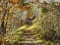 Slika_03