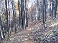 Slika_06