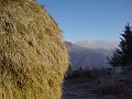 Slika_08