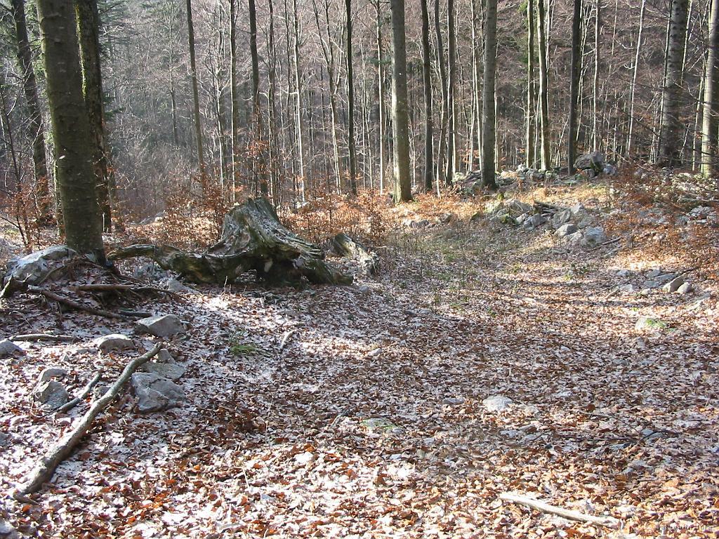 Slika_05.jpg - Pogled nazaj na "pot".