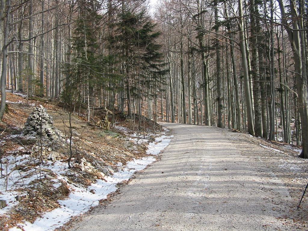 Slika_09.jpg - Ob poti čez čas na levi zagledamo možica, ki nakazuje, da v njegovi smeri poteka markirana pot iz Predmeje - na zemljevidu s slike 1 ni vrisana. No, midva sva šla naprej.