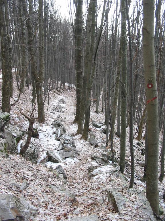 Slika_10.jpg - Po gozdni cesti sva nadaljevala do križišča, kjer sva ostro zavila levo v rahel klanec. Zopet sva srečala markirano pot, ki jo nakazuje družina možicev. Vidni so vsaj štirje.