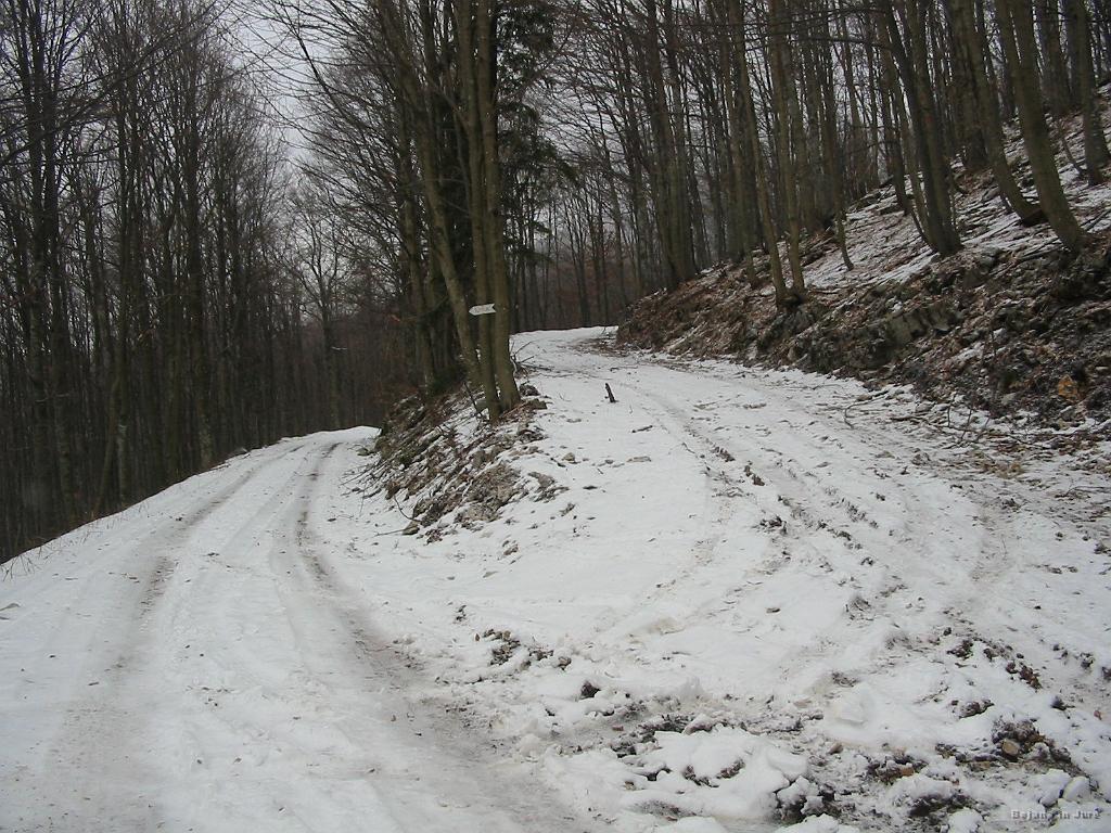 Slika_11.jpg - V tem križišču pa gremo desno. Ne proti koči pod Golaki.