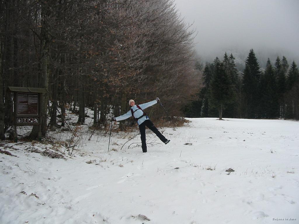 Slika_13.jpg - Ja Bojana, najdla sva jaso :) Tudi tu levo ob tabli poteka markirana pot. Vendar sva jo raje ubrala v smeri smreke na jasi in nato levo v gozd.