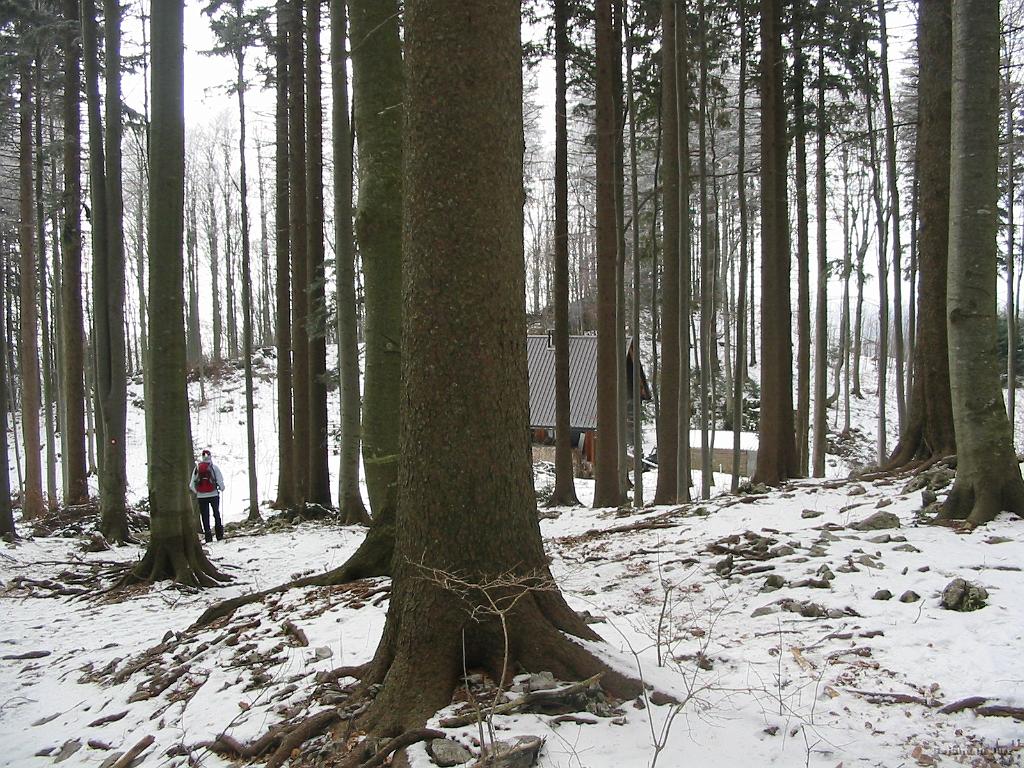 Slika_30.jpg - Iztokova koča pod Golaki (1260m)