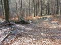 Slika_05