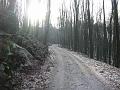 Slika_08