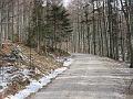 Slika_09