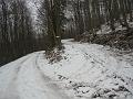 Slika_11