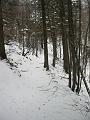 Slika_17
