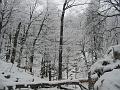 Slika_21