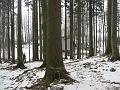 Slika_30