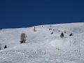 Slika_115