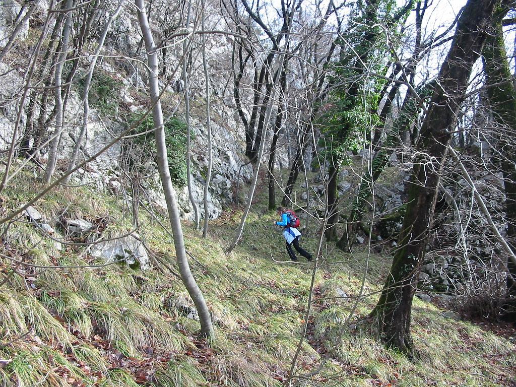 Slika_13.jpg - Nekaj je shojeno...greva kar levo navzgor.