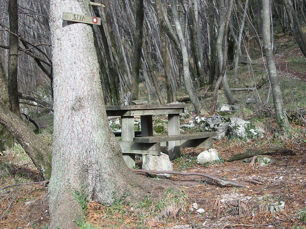 Slika_17.jpg - Hja, naletela sva na markirano pot, ki naju je kaj kmalu pripeljala do lepe klopce. Sam kaj, ko ni ta po kateri sva hotela gor. Je namreč markirana pot iz vasi Kamenje. Torej je sledila sprememba plana :)