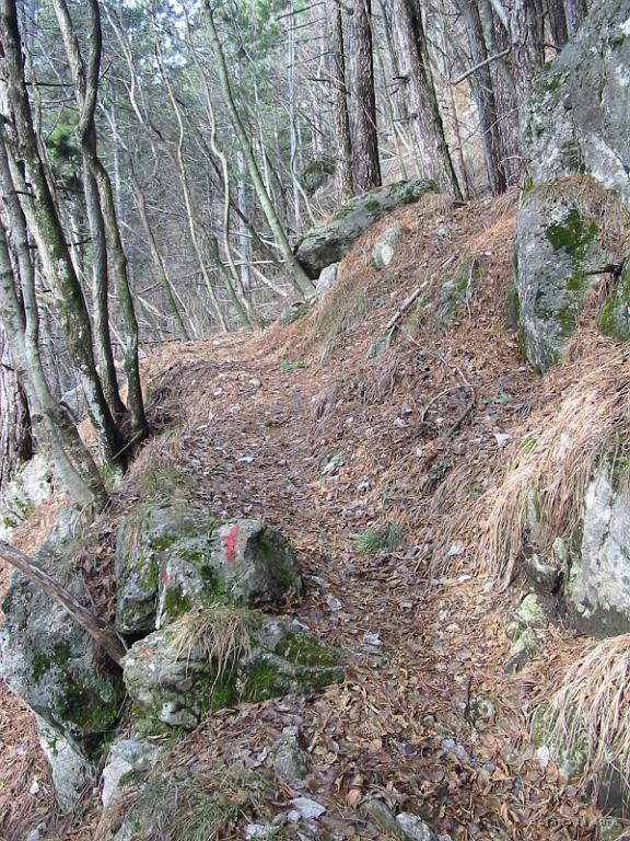 Slika_18.jpg - Dvig je bil vedno hujši. Bojani očitno železove tablete pomagajo, meni pa očitno nekaj manjka. Nisem bil najboljši, zato je večji del poti vodila tempo.