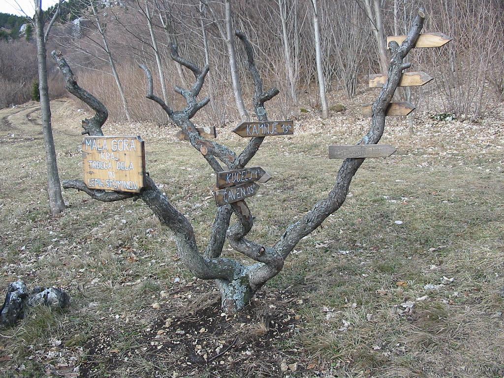 Slika_22.jpg - Glede tabel...