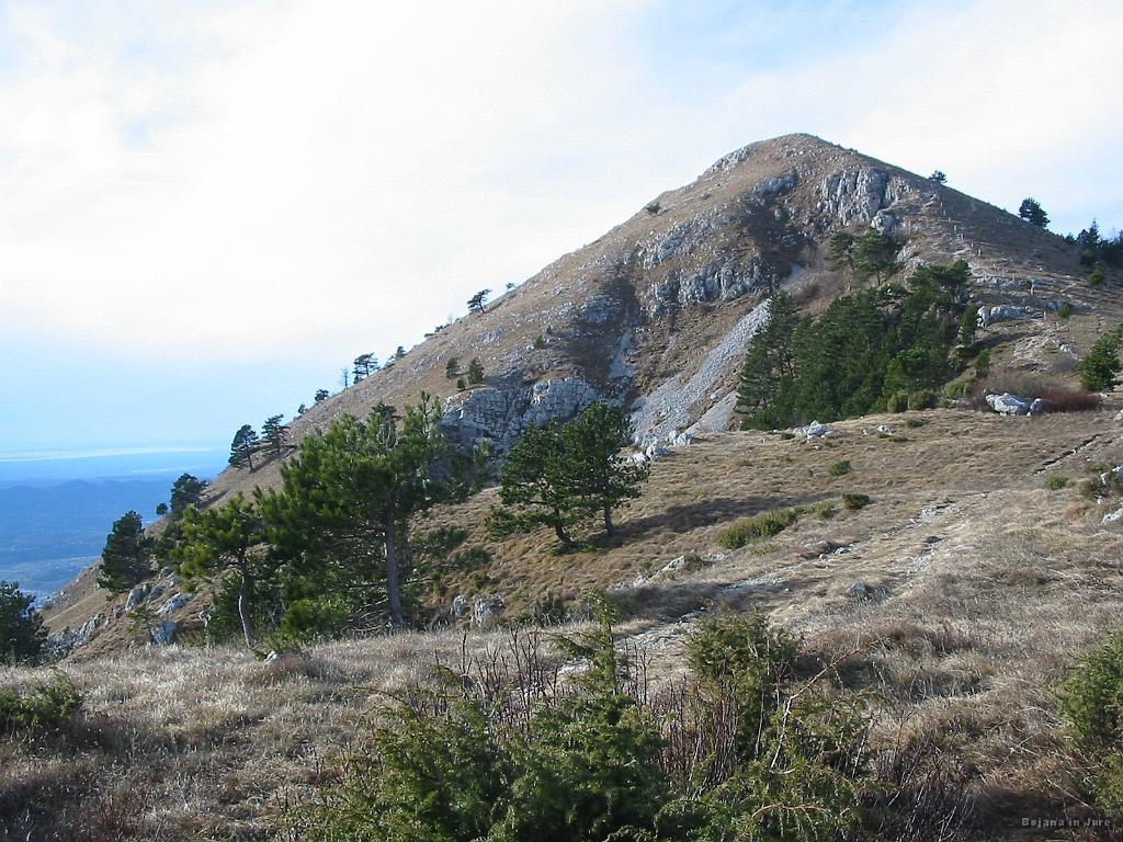 Slika_30.jpg - Očitno sva bila prav, saj se je pokazal tudi Kuceljček.