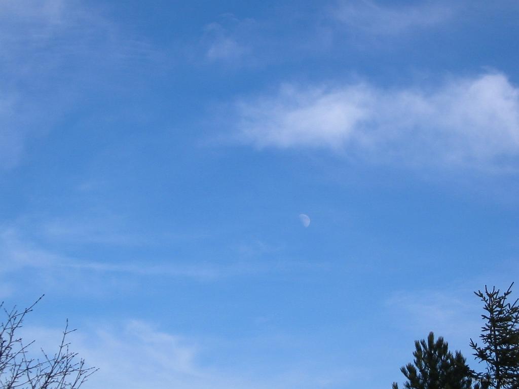 Slika_38.jpg - Luna...s poti proti koči na Čavnu.