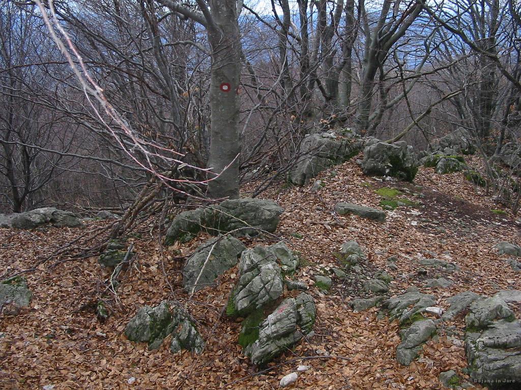 Slika_47.jpg - Markacija..lepa, velika...sam kam? No, nekako sva našla nekaj poti podobno. Očitno ta pot iz Stomaža ni najbolj obiskana.