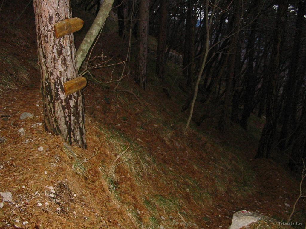 Slika_50.jpg - No, to sva pa sploh morala slikati. Dve tabli, obe kažeta v isto smer, venda pa je skrajno levo tudi pot, katere smer pa ne nakazuje recimo tretja tabla. Tu sva bila skeptična ali obe kažeta isto pot ali pa morda zgornja tabla kaže v smeri zgornje poti. Mah, greva dol....se je namreč že mračilo.