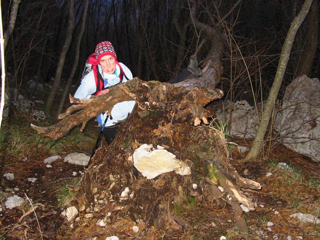 Slika_57.jpg - Naj Bojana napiše kaj je tu mislila.