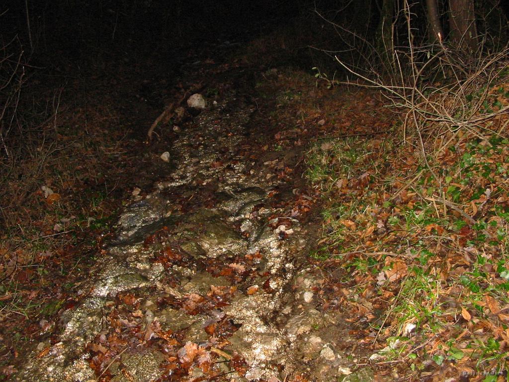 Slika_58.jpg - Spodnji del poti je bil vodotok. Tu sva še mislila, da sva na poti po kateri bi morala gor, vendar se je kaj kmalu izkazalo, da temu ni tako, saj sva v vas Stomaž prišla povsem drugod.