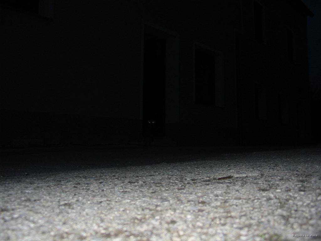 Slika_61.jpg - Pri avtu sem moral slikati...bolj kot ne se vidijo samo oči...čigave?
