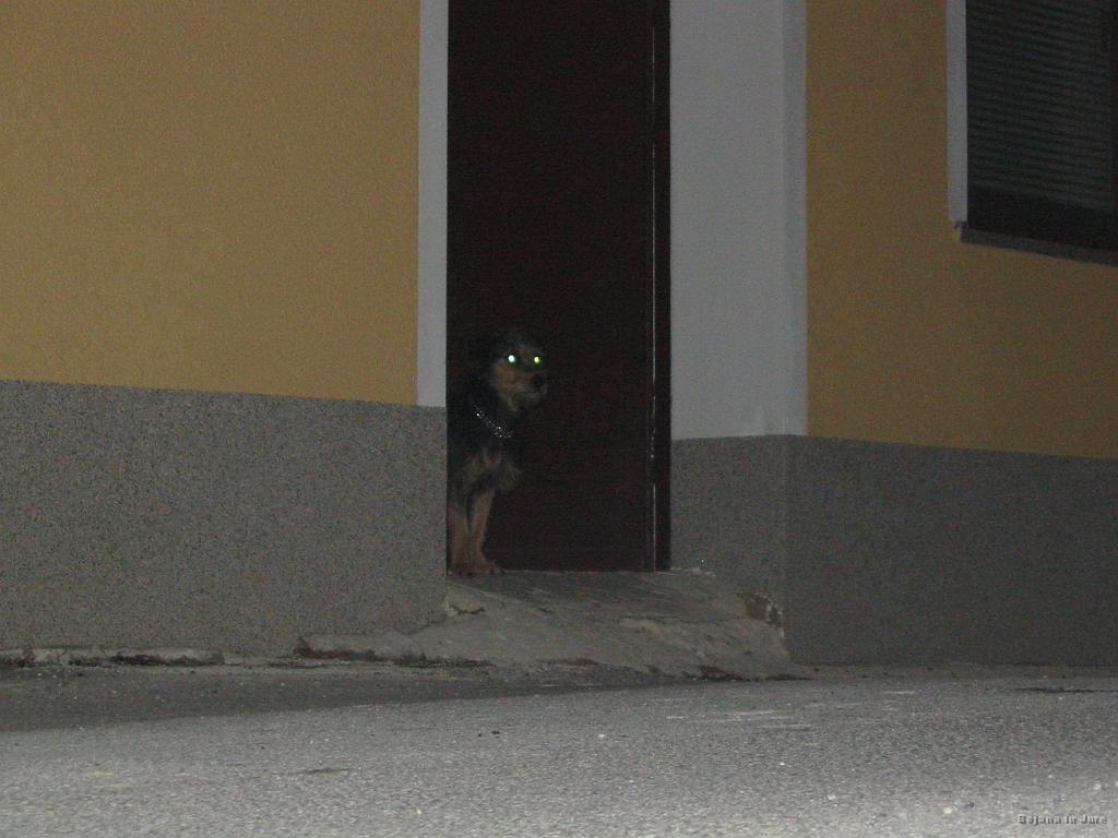 Slika_62.jpg - Od luštnega kužita.