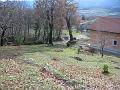 Slika_07