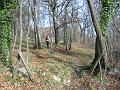 Slika_08
