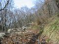 Slika_12