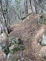 Slika_18