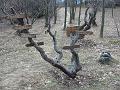 Slika_23