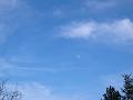 Slika_38