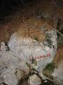 Slika_56
