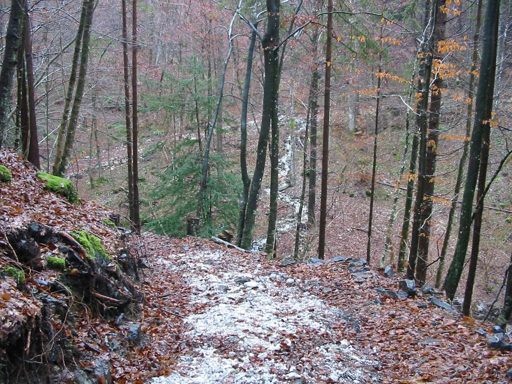 Slika_16.jpg - Na silvestrsko popoldne sva se sprehodila v grapo proti domačiji Pustina, da preveriva, če je voda dovolj nizka za prehod na drugo stran grape.