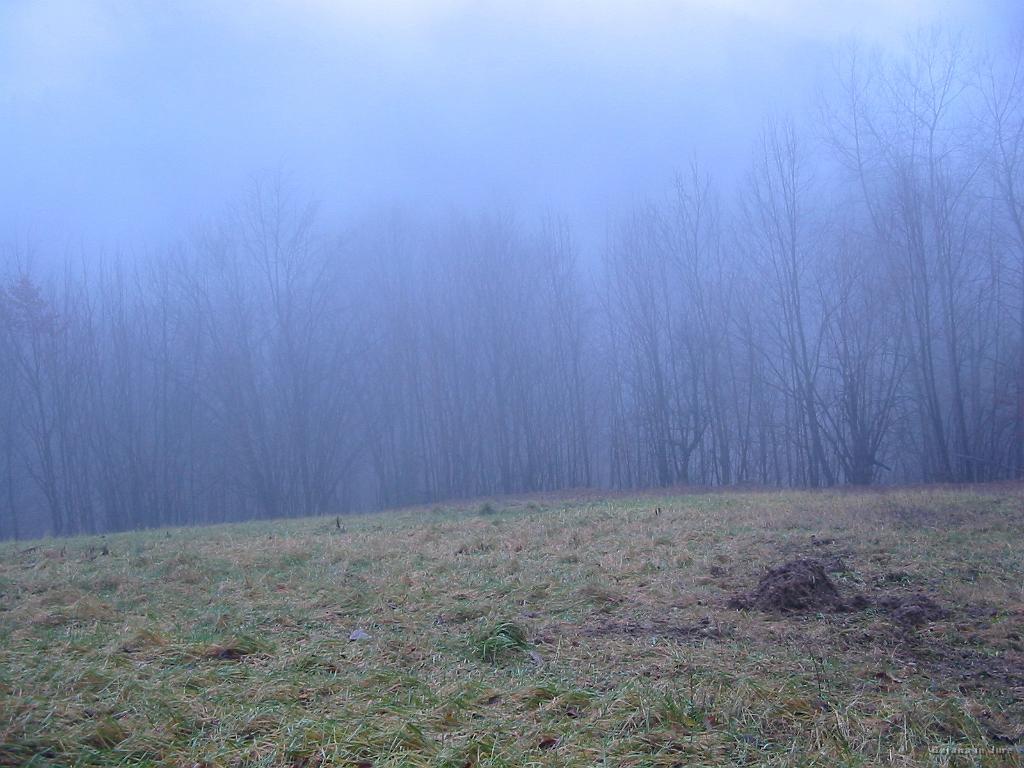 Slika_18.jpg - Iz grape sva sprehod nadaljevala mimo Loga proti zgornji domačiji Kogoj. Ja, razgled je bil povsem v stilu zadnjega 1/2 leta.