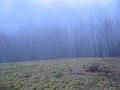 Slika_18