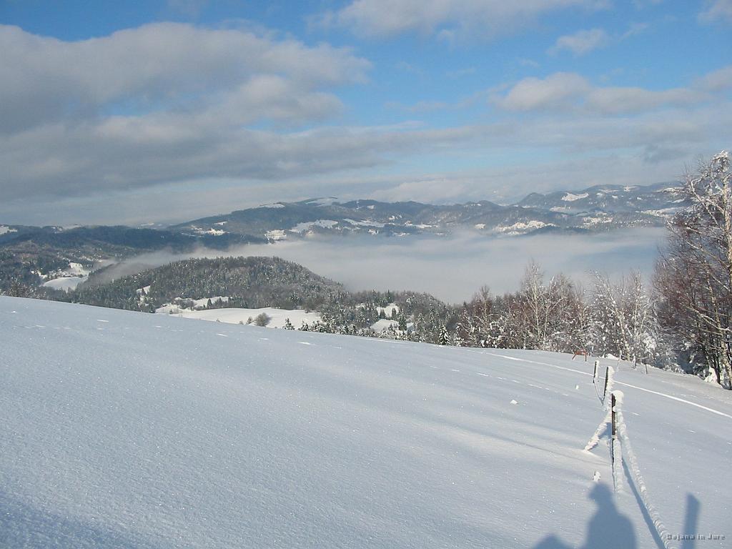 Slika_02.jpg - Pogled v smeri položnejše proge - vidimo, da je popašeno in čisto.