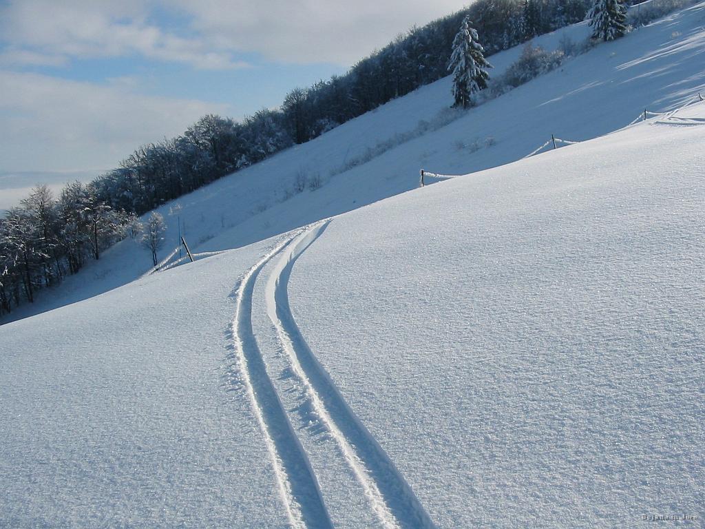 Slika_09.jpg - Moja špura... Nadaljeval sem pa v delu, kjer sem prišel. Sicer brez sonca in kar nekaj grmičevja, vendar pa malce klanca ne škodi.